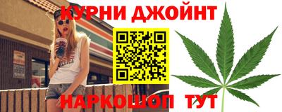 гашик Кингисепп