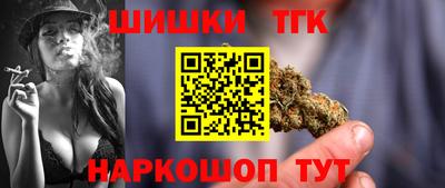 гашик Кингисепп