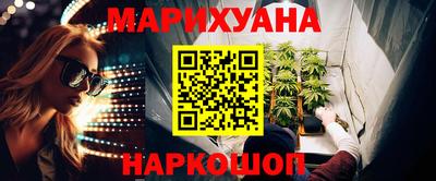 гашик Кингисепп