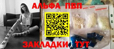гашик Кингисепп