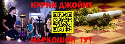 гашик Кингисепп