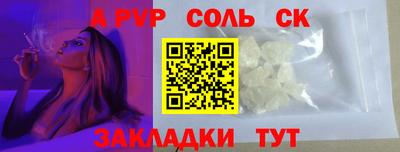 гашик Кингисепп