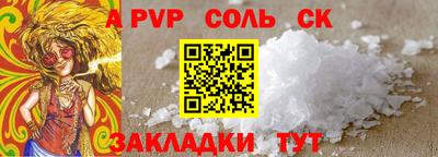 гашик Кингисепп