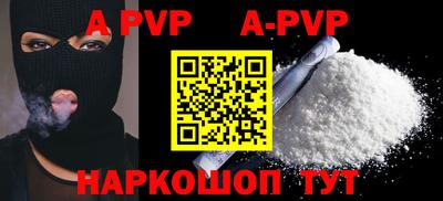 гашик Кингисепп