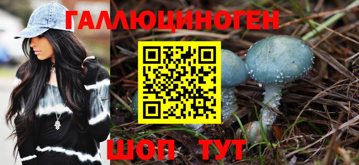Псилоцибиновые грибы Cubensis Ковров